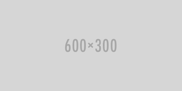 Clients-template-new-radim-x2-600x300
